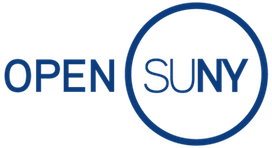 OpenSUNY: новая образовательная платформа